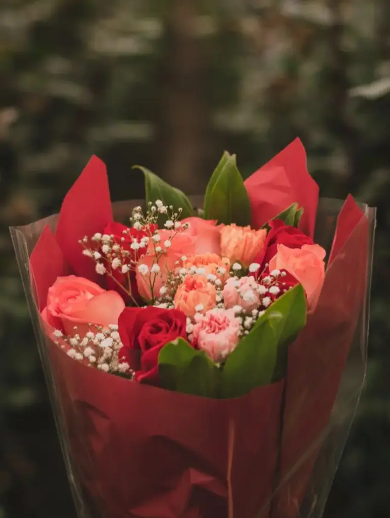 WhatsApp Image 2025-09-05 at 6.19.04 PM (2).webp