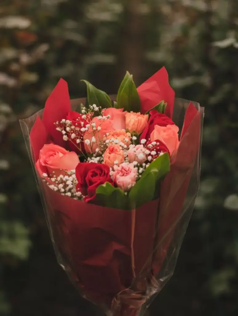 WhatsApp Image 2025-09-05 at 6.19.04 PM (1).webp