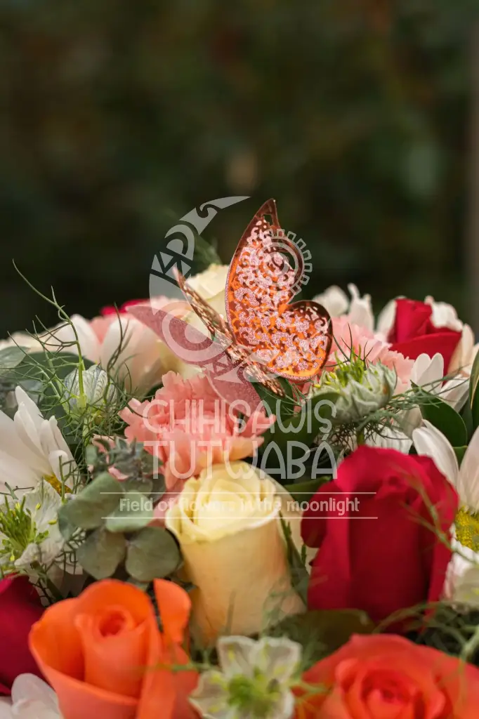 DSC_0094 (1).webp