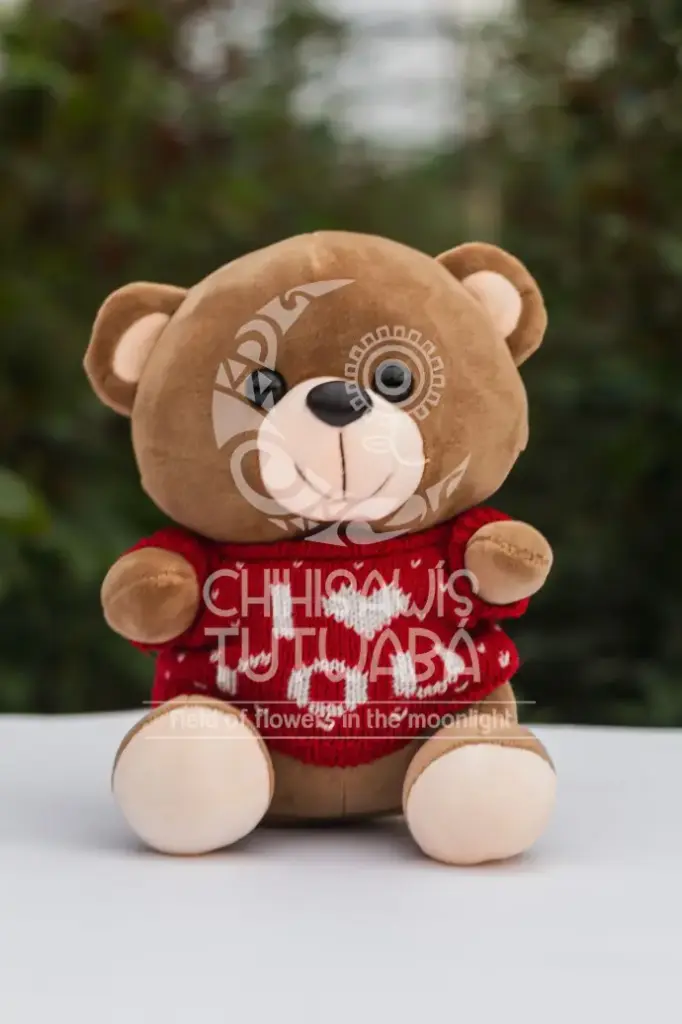 Peluche Oso Sueter Rojo