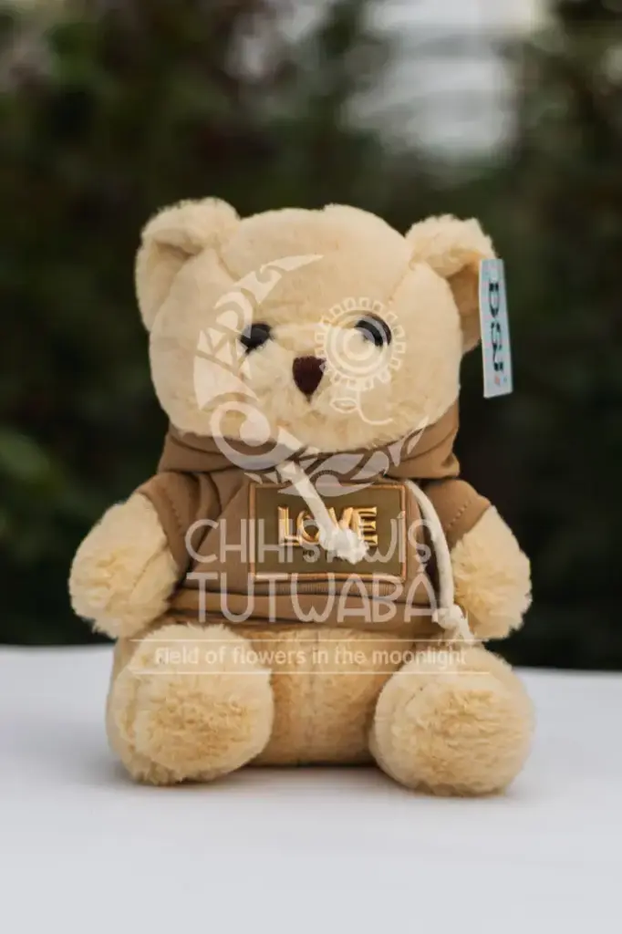 Peluche Oso Saco Café