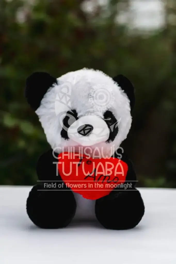 Peluche Oso Panda Corazón