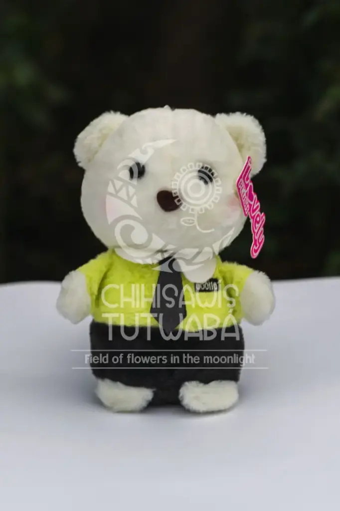 Peluche Oso Camisa Verde