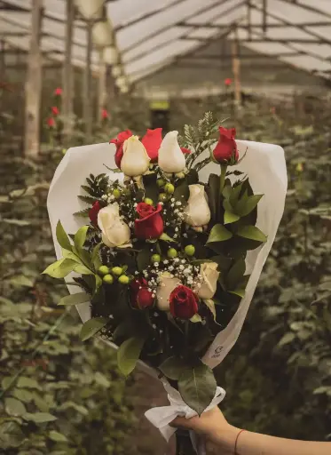 Bouquet Mimoso