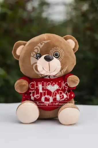 Peluche Oso Sueter Rojo