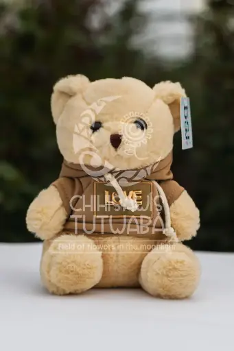 Peluche Oso Saco Café
