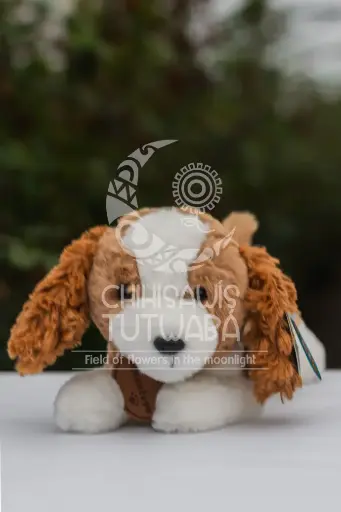 Peluche Perro Orejas Cafes