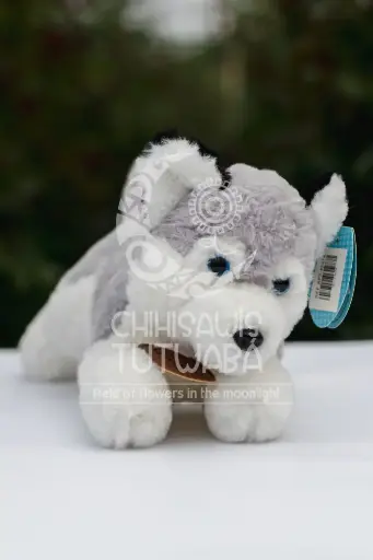 Peluche Perro Lobo Siberiano