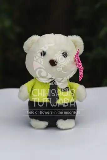 Peluche Oso Camisa Verde
