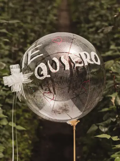 Globo Burbuja Grande
