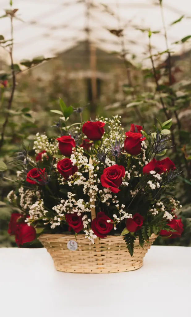 Jardín de Rosas